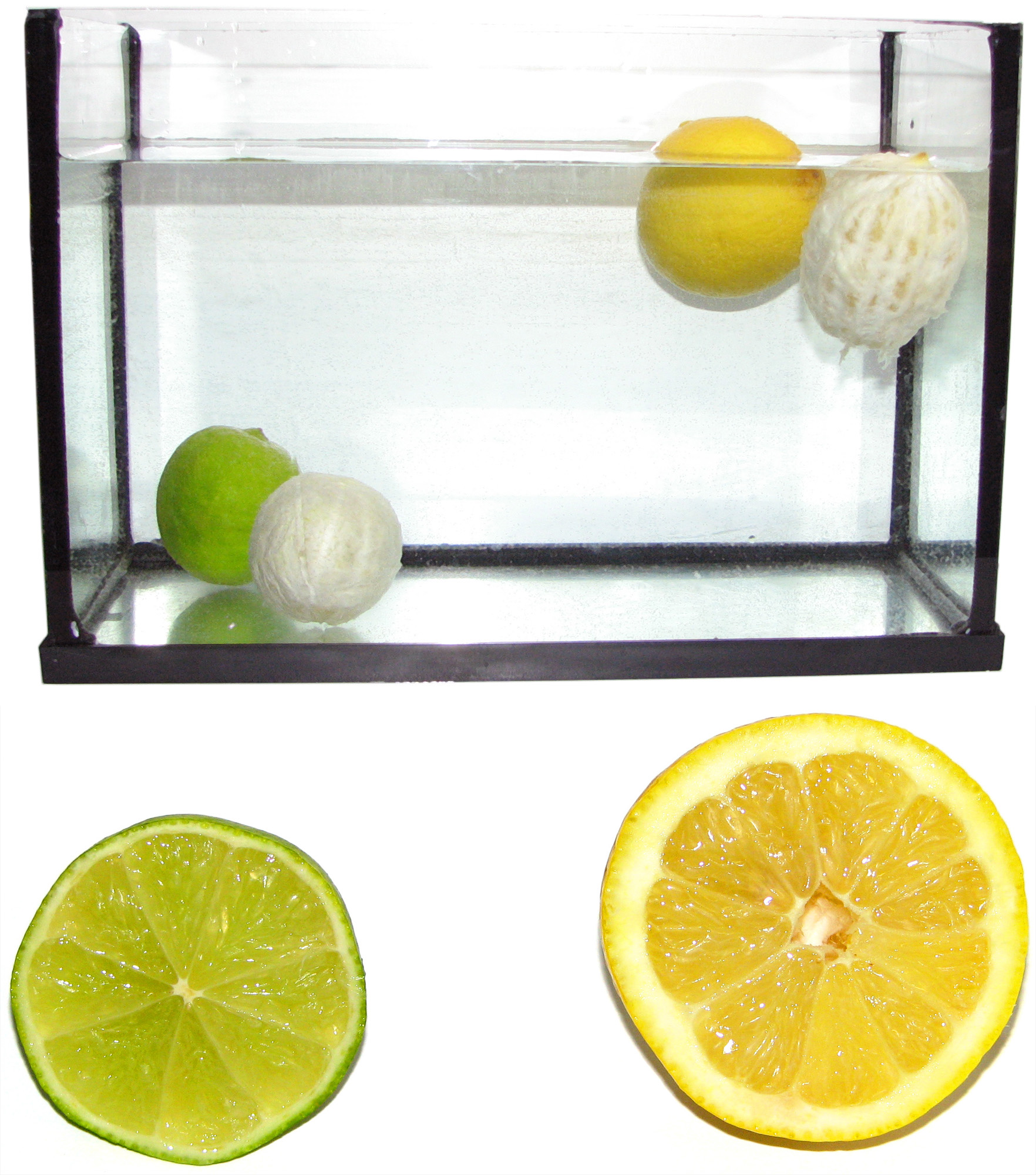 citron aquar 12